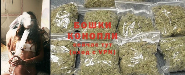 трава Абаза