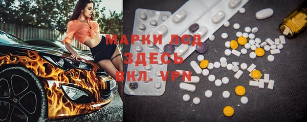 гидра Алексин