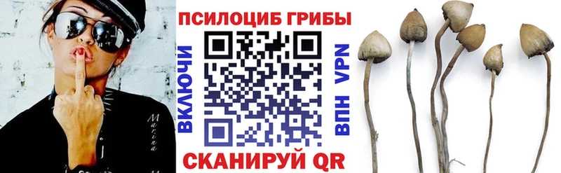 сайты даркнета формула  Иннополис  Галлюциногенные грибы Psilocybine cubensis 